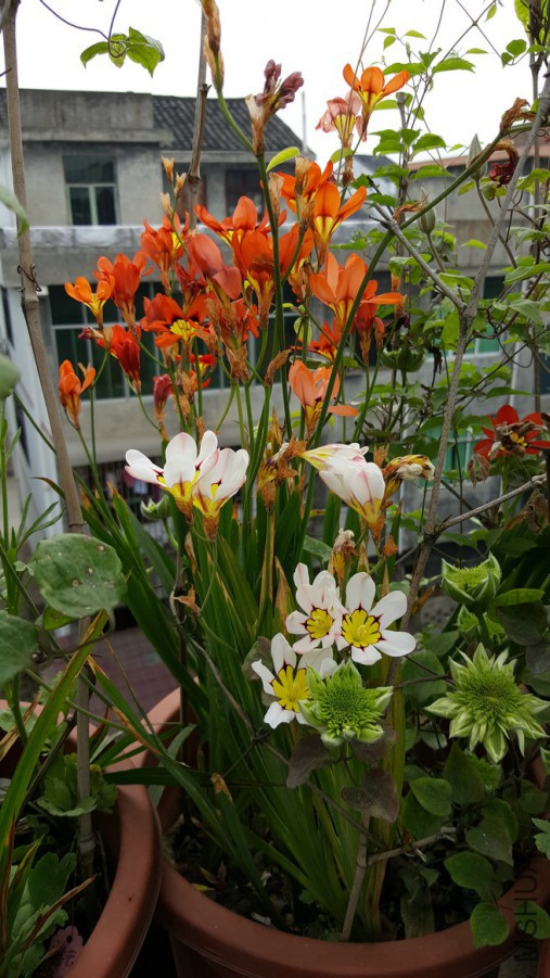 20160402_095837.jpg