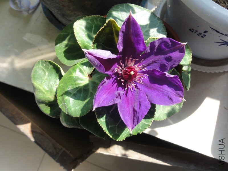 DSC01943.JPG