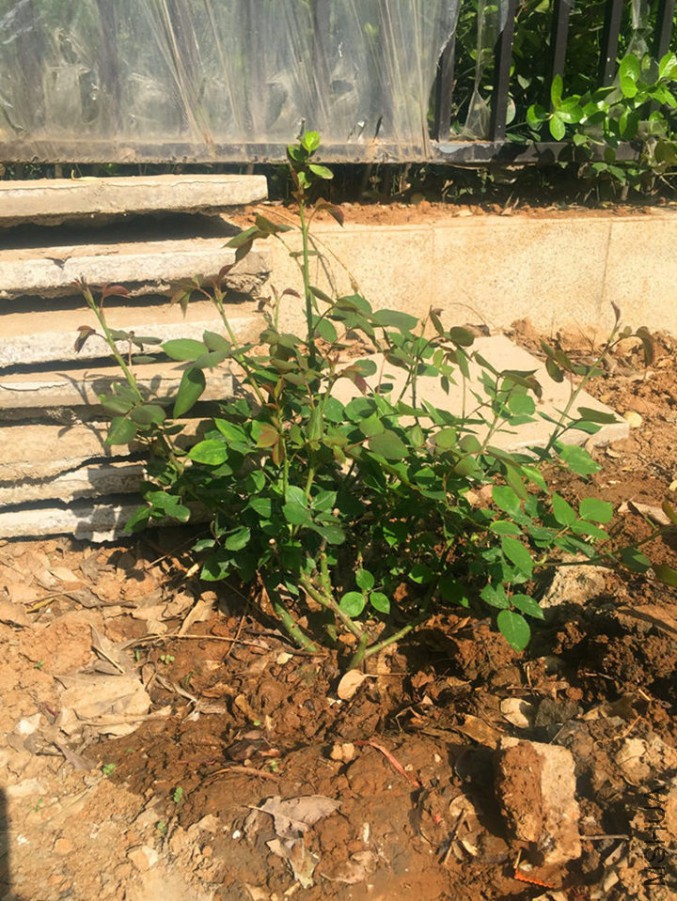 ����160401_����.jpg