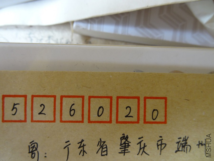 DSC07704.JPG
