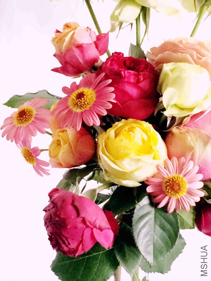 IMG_0430_meitu_4.jpg