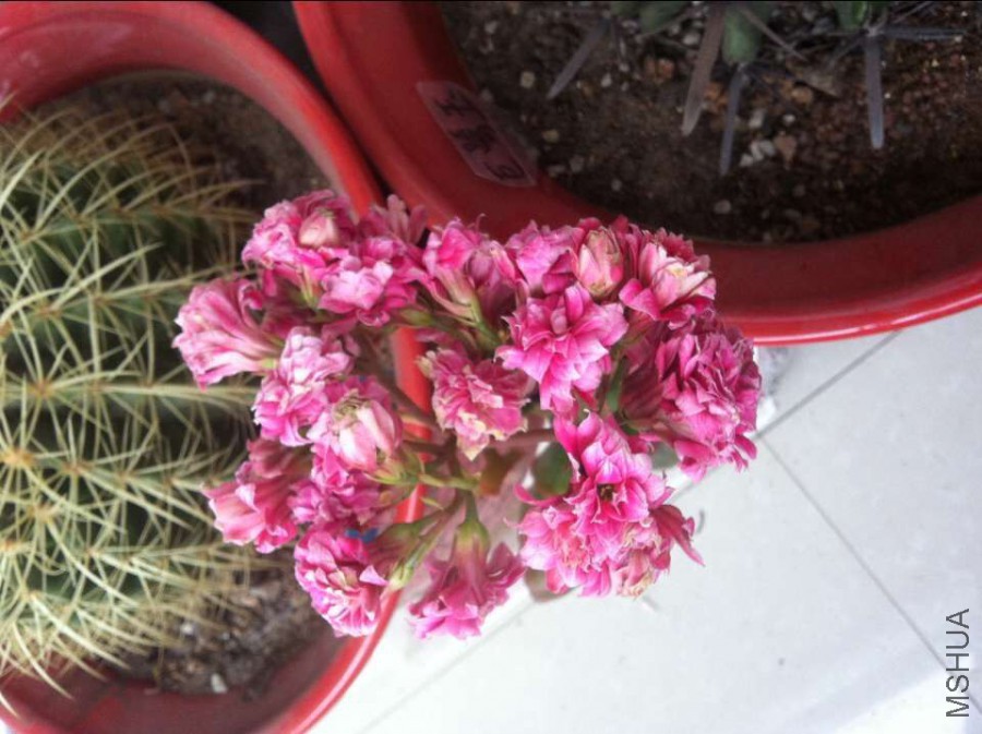 QQͼƬ20160404122017.jpg