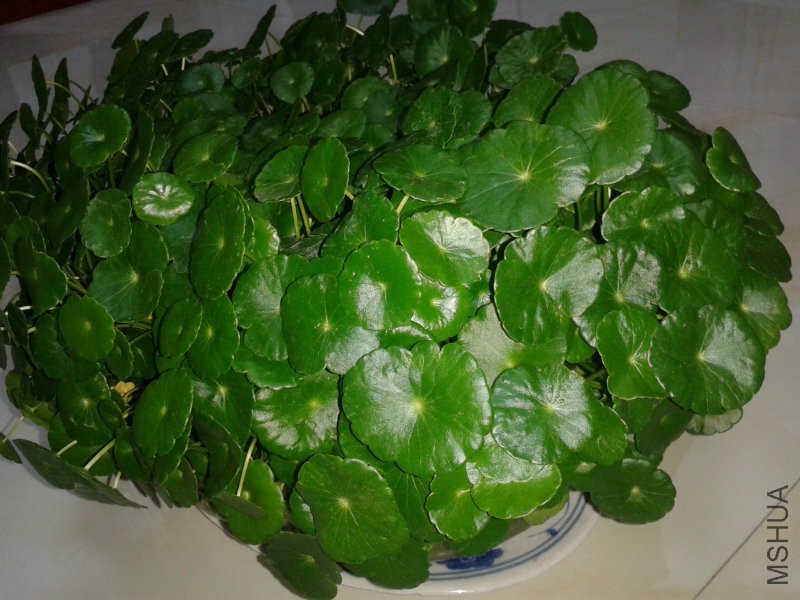 QQ图片20160401192422.jpg