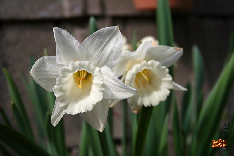 ��Ƭ 020_����.jpg