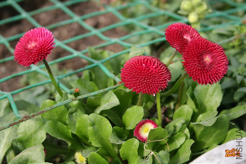 ��Ƭ 003_����.jpg