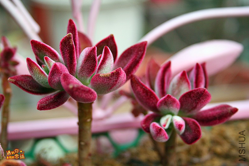 ��Ƭ 064_����.jpg