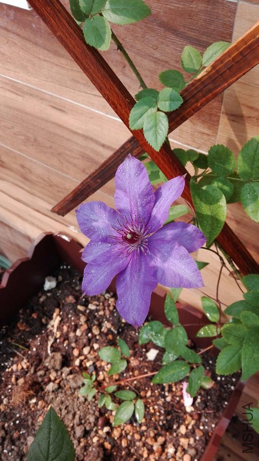 ����������