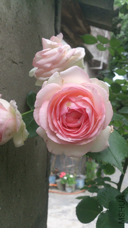 DSC_1128.jpg