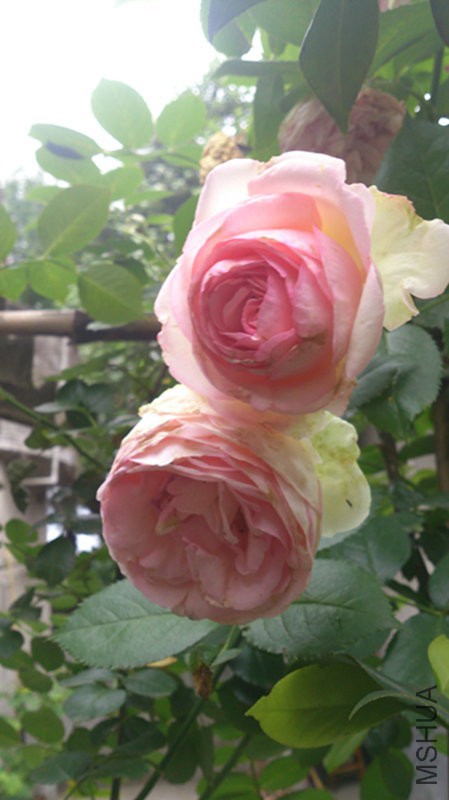 DSC_1129.jpg