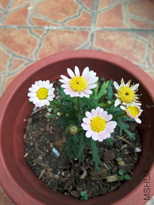 ͼƬ09.jpg