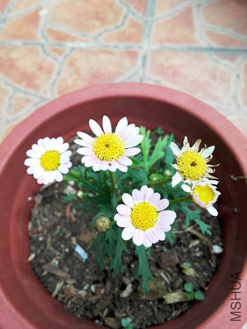 ͼƬ08.jpg