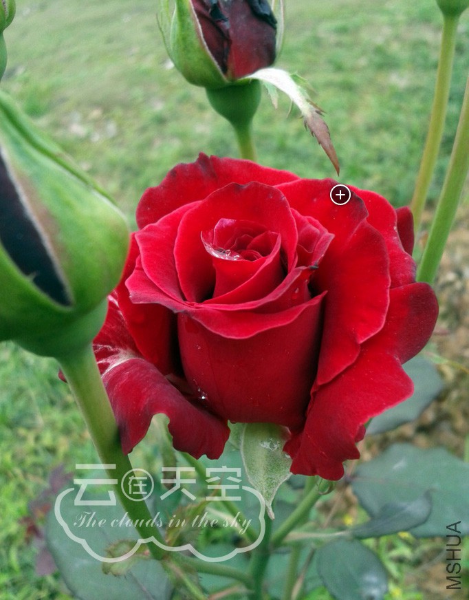 QQ��ͼ20160405091236.jpg