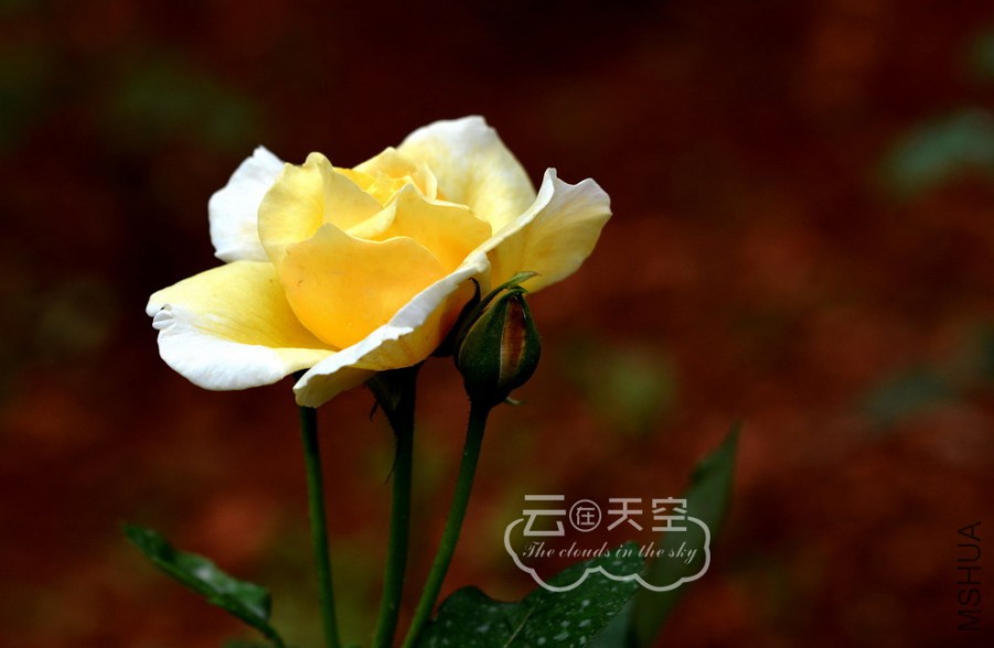 QQ��ͼ20160405091346.jpg