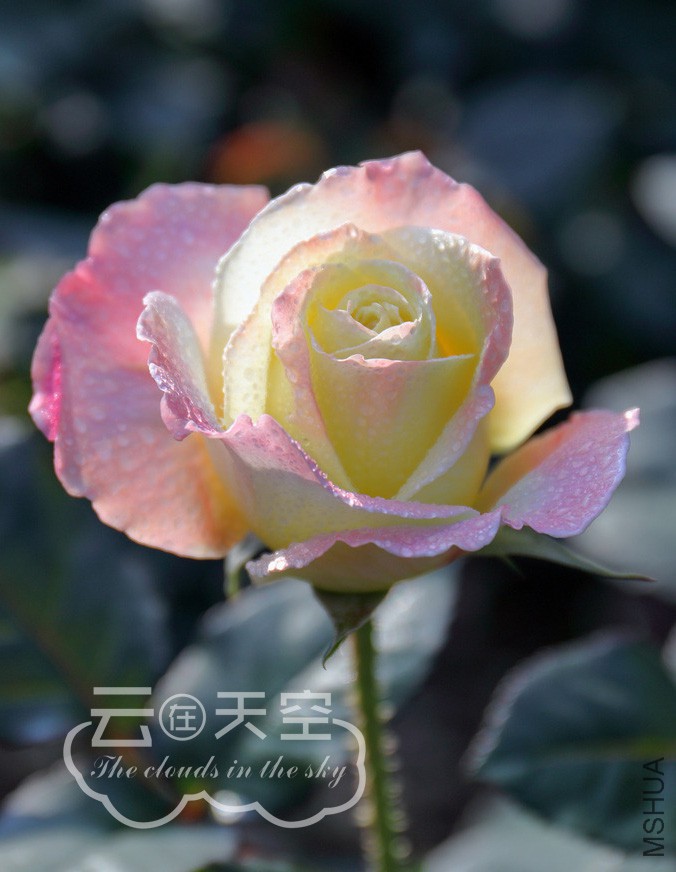 QQ��ͼ20160405091718.jpg