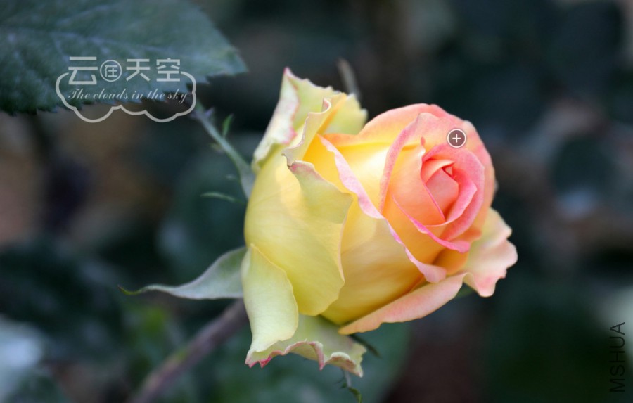 QQ��ͼ20160405091751.jpg