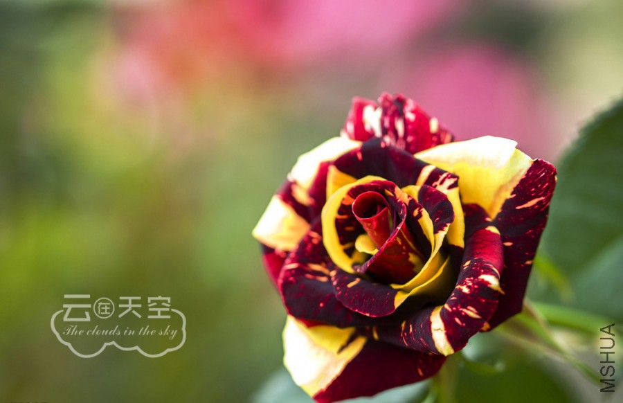 QQ��ͼ20160405091446.jpg