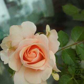 UC_Photo_126.jpg