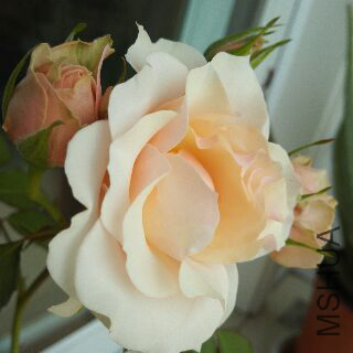 UC_Photo_127.jpg