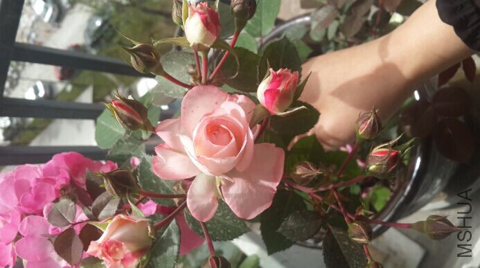 QQͼƬ20160405132031.jpg