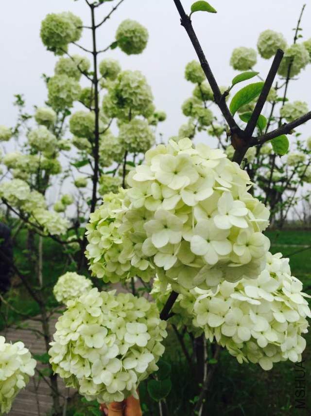 QQͼƬ20160405152249.jpg