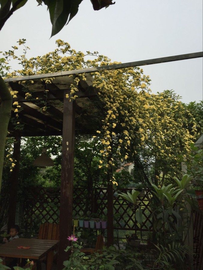 QQͼƬ20160405152721.jpg