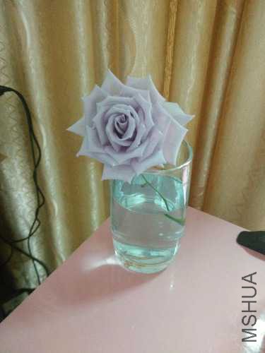 IMG_20160405_180214.jpg