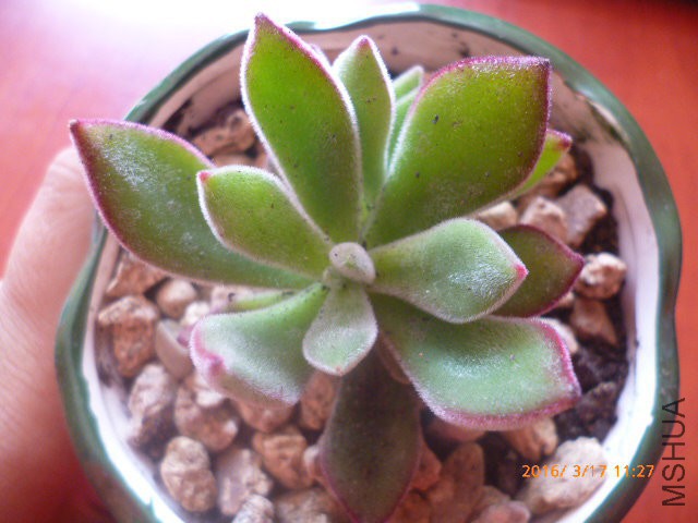P1020801.JPG