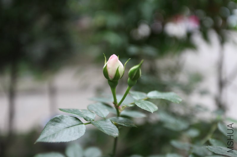 IMG_8147.jpg