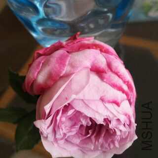 UC_Photo_129.jpg