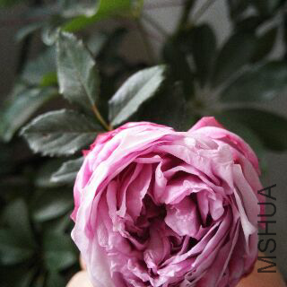 UC_Photo_131.jpg
