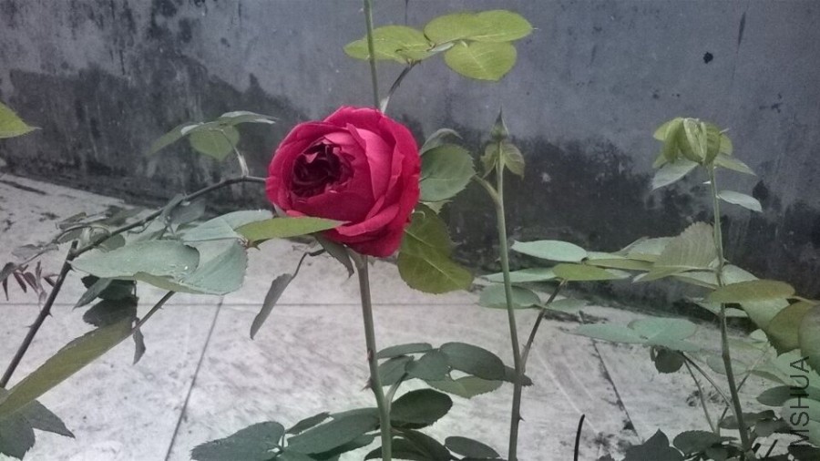 QQͼƬ20160406094810.jpg