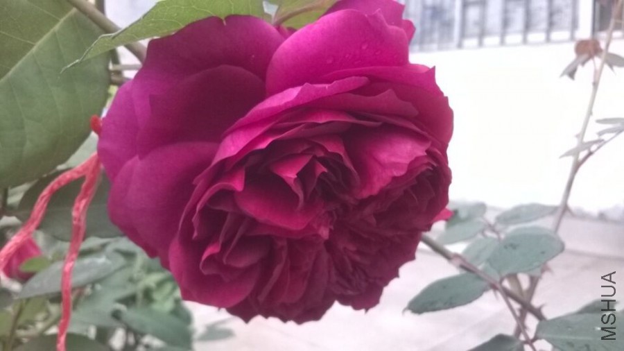 QQͼƬ20160406094813.jpg