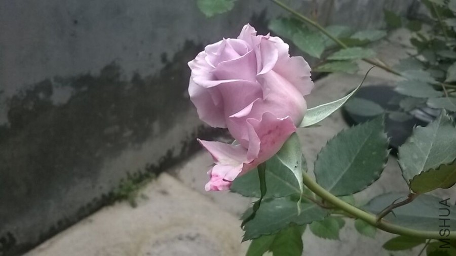 QQͼƬ20160406094836.jpg