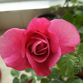 UC_Photo_133.jpg