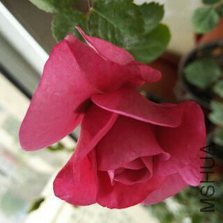 UC_Photo_134.jpg