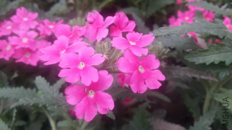 20160406_082407.jpg