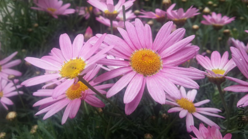 20160406_082538.jpg