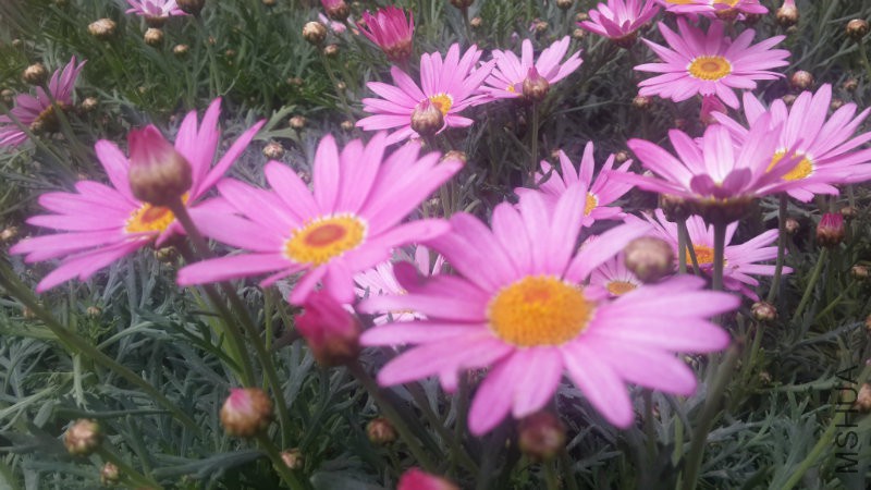 20160406_082549.jpg