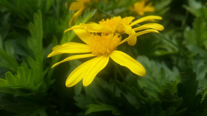 20160406_082630.jpg