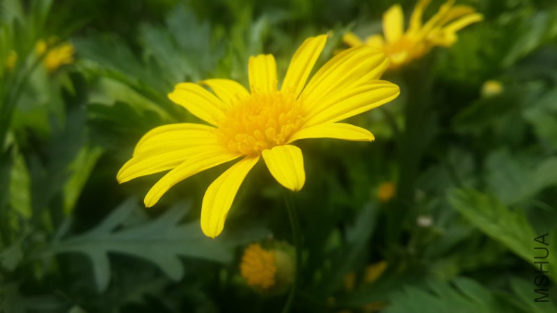 20160406_082647.jpg