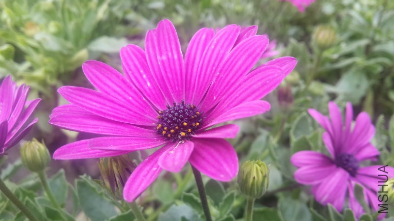 20160406_082734.jpg