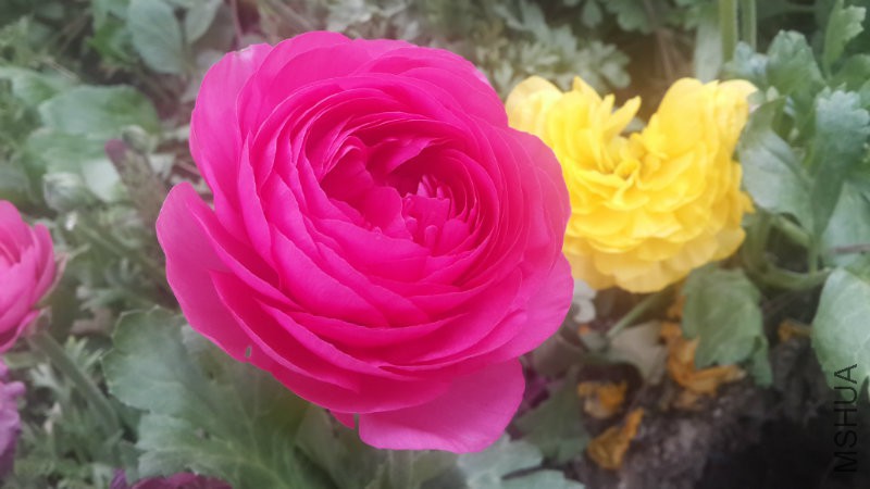 20160406_090928.jpg