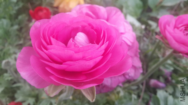 20160406_090932.jpg