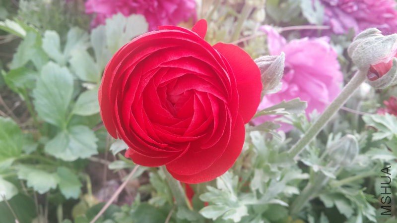 20160406_090936.jpg