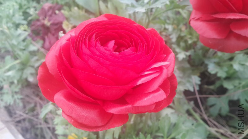 20160406_090942.jpg