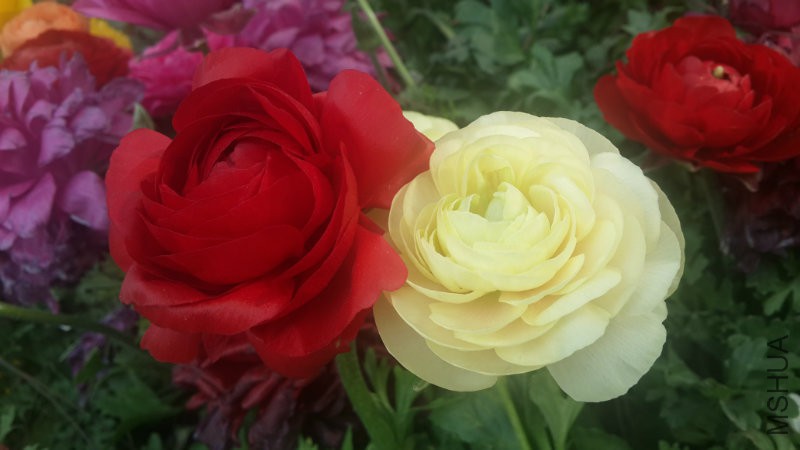 20160406_090950.jpg