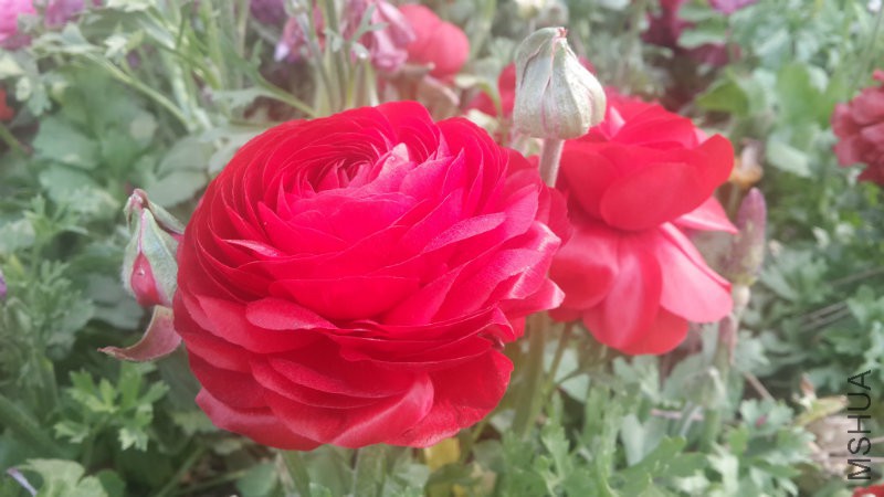 20160406_090955.jpg