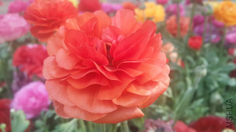 20160406_091003.jpg
