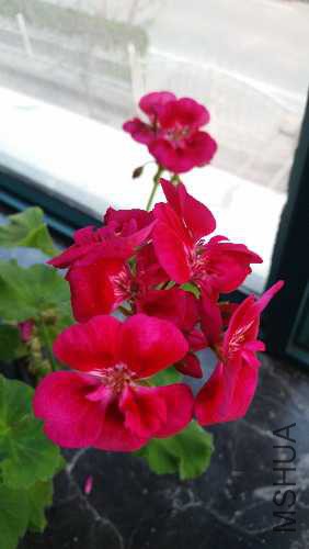20160302_170116.jpg