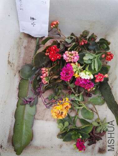IMG20160404183344.jpg